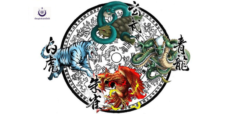 tu-linh-hoi-tu-la-gi.jpg